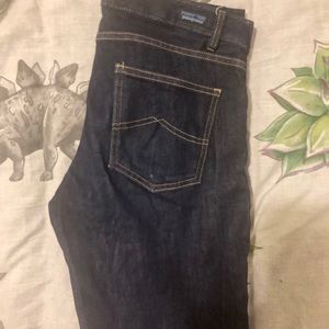 Patagonia size 29 skinny jeans